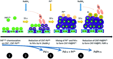 Graphical abstract: Rapid crystal growth of bimetallic PdPt nanocrystals with surface atomic Pt cluster decoration provides promising oxygen reduction activity