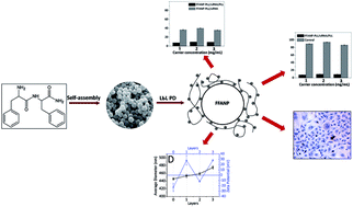 Graphical abstract: Novel layer-by-layer self-assembled peptide nanocarriers for siRNA delivery