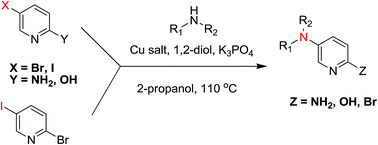 Graphical abstract: Copper-catalyzed selective C–N bond formation with 2-amino, 2-hydroxy and 2-bromo-5-halopyridine