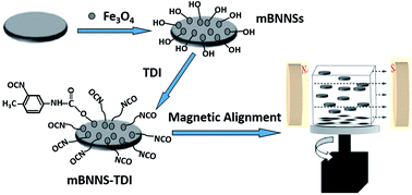 Graphical abstract: Surface modification and magnetic alignment of hexagonal boron nitride nanosheets for highly thermally conductive composites