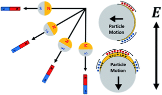 Graphical abstract: Orientation-dependent induced-charge electrophoresis of magnetic metal-coated Janus particles with different coating thicknesses