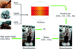 Graphical abstract: Pyrolysis gas as a carbon source for biogas production via anaerobic digestion