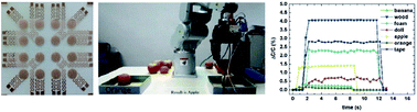Graphical abstract: Development of a flexible and stretchable tactile sensor array with two different structures for robotic hand application