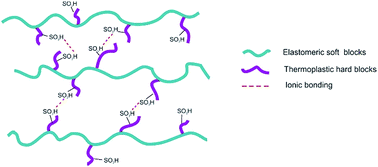 Graphical abstract: Design, synthesis, and characterization of lightly sulfonated multigraft acrylate-based copolymer superelastomers