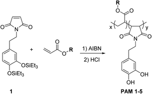 Graphical abstract: Side chain length impacting thermal transitions and water uptake of acrylate–maleimide copolymers with pendent catechols