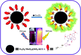 Graphical abstract: A hybrid magnetic core–shell fibrous silica nanocomposite for a chemosensor-based highly effective fluorescent detection of Cu(ii)