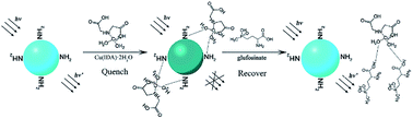 Graphical abstract: Selective detection of glufosinate using CuInS2 quantum dots as a fluorescence probe