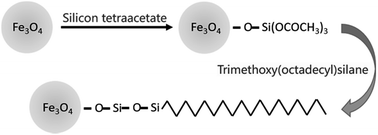 Graphical abstract: Development and application of immobilized surfactant in mass spectrometry-based proteomics