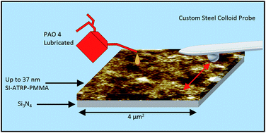 Graphical abstract: Polymer brush lubrication of the silicon nitride–steel contact: a colloidal force microscopy study