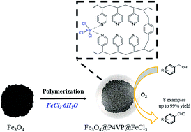 Graphical abstract: An Fe3O4@P4VP@FeCl3 core–shell heterogeneous catalyst for aerobic oxidation of alcohols and benzylic oxidation reaction