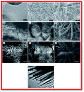 Graphical abstract: Synthesis and characterization of cobalt hydroxide carbonate nanostructures