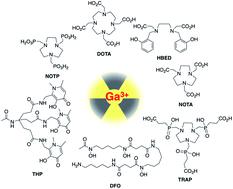 Graphical abstract: Comparison of macrocyclic and acyclic chelators for gallium-68 radiolabelling