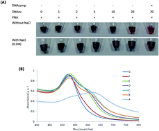 Graphical abstract: Rapid label-free visual detection of KRAS mutations using peptide nucleic acid and unmodified gold nanoparticles