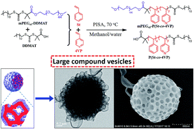 Graphical abstract: Adding a solvophilic comonomer to the polymerization-induced self-assembly of block copolymer and homopolymer: a cooperative strategy for preparing large compound vesicles