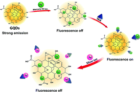 Graphical abstract: A fluorescence switching sensor based on graphene quantum dots decorated with Hg2+ and hydrolyzed thioacetamide for highly Ag+-sensitive and selective detection
