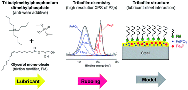 Graphical abstract: Tribochemistry and thermo-oxidative stability of halogen-free ionic liquids