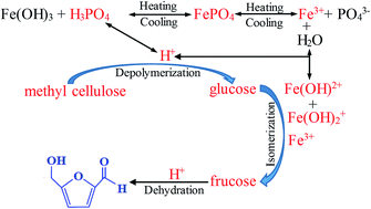 Graphical abstract: Synthesis of different structured FePO4 for the enhanced conversion of methyl cellulose to 5-hydroxymethylfurfural