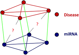 Graphical abstract: Network-based collaborative filtering recommendation model for inferring novel disease-related miRNAs