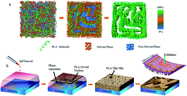 Graphical abstract: Controllable domain morphology in coated poly(lactic acid) films for high-efficiency and high-precision transportation of water droplet arrays