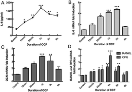 Graphical abstract: Osteocytes regulate osteoblast differentiation and osteoclast activity through Interleukin-6 under mechanical loading