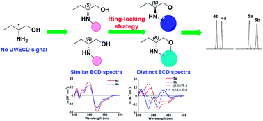 Graphical abstract: Ring-locking strategy facilitating determination of absolute optical purity of 2-amino-1-butanol by reverse-phase high-performance liquid chromatography