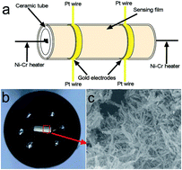 Graphical abstract: Synthesis and NO2 gas-sensing properties of coral-like indium oxide via a facile solvothermal method