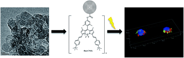 Graphical abstract: Far-red fluorescent carbon nano-onions as a biocompatible platform for cellular imaging