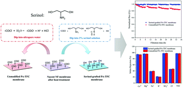 Graphical abstract: Surface modification of piperazine-based nanofiltration membranes with serinol for enhanced antifouling properties in polymer flooding produced water treatment