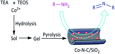 Graphical abstract: Co–N–C supported on SiO2: a facile, efficient catalyst for aerobic oxidation of amines to imines