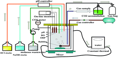 Graphical abstract: Salinity effect on production of PHA and EPS by Haloferax mediterranei