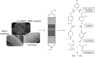 Graphical abstract: Chemical vapor deposition of CuO on ZSM-5 membrane for catalytic wet peroxide oxidation of phenol in a fixed bed reactor