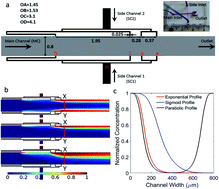 Graphical abstract: Merging orthogonal microfluidic flows to generate multi-profile concentration gradients