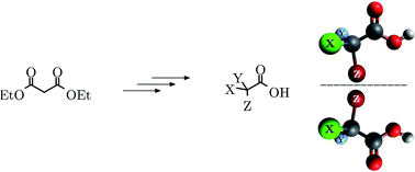 Graphical abstract: Synthetic routes for a variety of halogenated (chiral) acetic acids from diethyl malonate