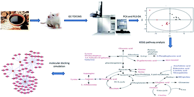 Graphical abstract: Metabolomic investigation into molecular mechanisms of a clinical herb prescription against metabolic syndrome by a systematic approach