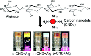 Graphical abstract: Carbon nanodots crosslinked photoluminescent alginate hydrogels