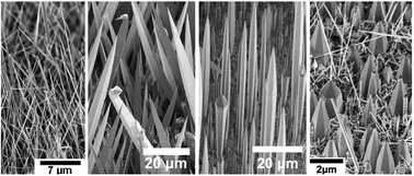 Graphical abstract: Controlled growth of aligned GaN nanostructures: from nanowires and needles to micro-rods on a single substrate