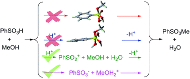 Graphical abstract: A DFT study on the mechanism of the sulfonic acid + alcohol esterification reaction