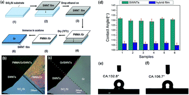 Graphical abstract: Wettability of monolayer graphene/single-walled carbon nanotube hybrid films