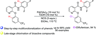 Graphical abstract: Regioselective C–H chlorination: towards the sequential difunctionalization of phenol derivatives and late-stage chlorination of bioactive compounds