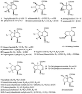 Graphical abstract: The similarity and variability of the iridoid glycoside profile and antioxidant capacity of aerial and underground parts of Lamiophlomis rotata according to UPLC-TOF-MS and multivariate analyses