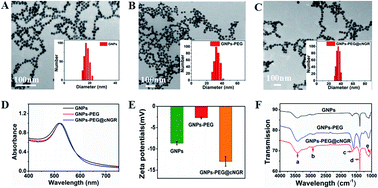 Graphical abstract: Tumor angiogenesis targeting and imaging using gold nanoparticle probe with directly conjugated cyclic NGR