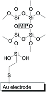 Graphical abstract: Synthesis and retention properties of molecularly imprinted polymers for antibiotics containing a 5-nitrofuran ring