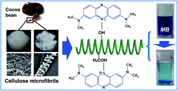 Graphical abstract: New highly hydrated cellulose microfibrils with a tendril helical morphology extracted from agro-waste material: application to removal of dyes from waste water