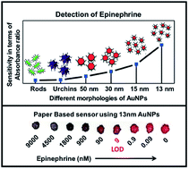 Graphical abstract: Colorimetric detection of epinephrine using an optimized paper-based aptasensor