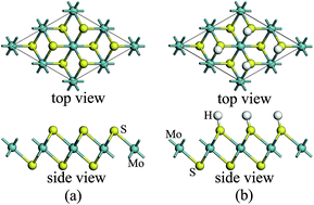 Graphical abstract: Magnetism in monolayer 1T-MoS2 and 1T-MoS2H tuned by strain