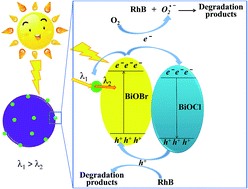Graphical abstract: BiOBr/BiOCl/carbon quantum dot microspheres with superior visible light-driven photocatalysis