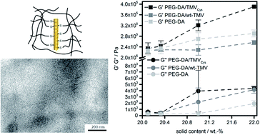 Graphical abstract: Covalent incorporation of tobacco mosaic virus increases the stiffness of poly(ethylene glycol) diacrylate hydrogels