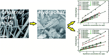 Graphical abstract: Influence of interfering anions on Cu2+ and Zn2+ ions removal on chestnut outer shell-derived hydrochars in aqueous solution