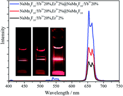 Graphical abstract: Core-shell structured NaMnF3: Yb, Er nanoparticles for bioimaging applications