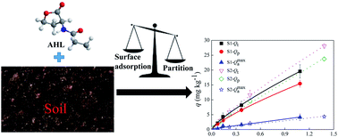 Graphical abstract: Sorption characteristics of N-acyl homserine lactones as signal molecules in natural soils based on the analysis of kinetics and isotherms